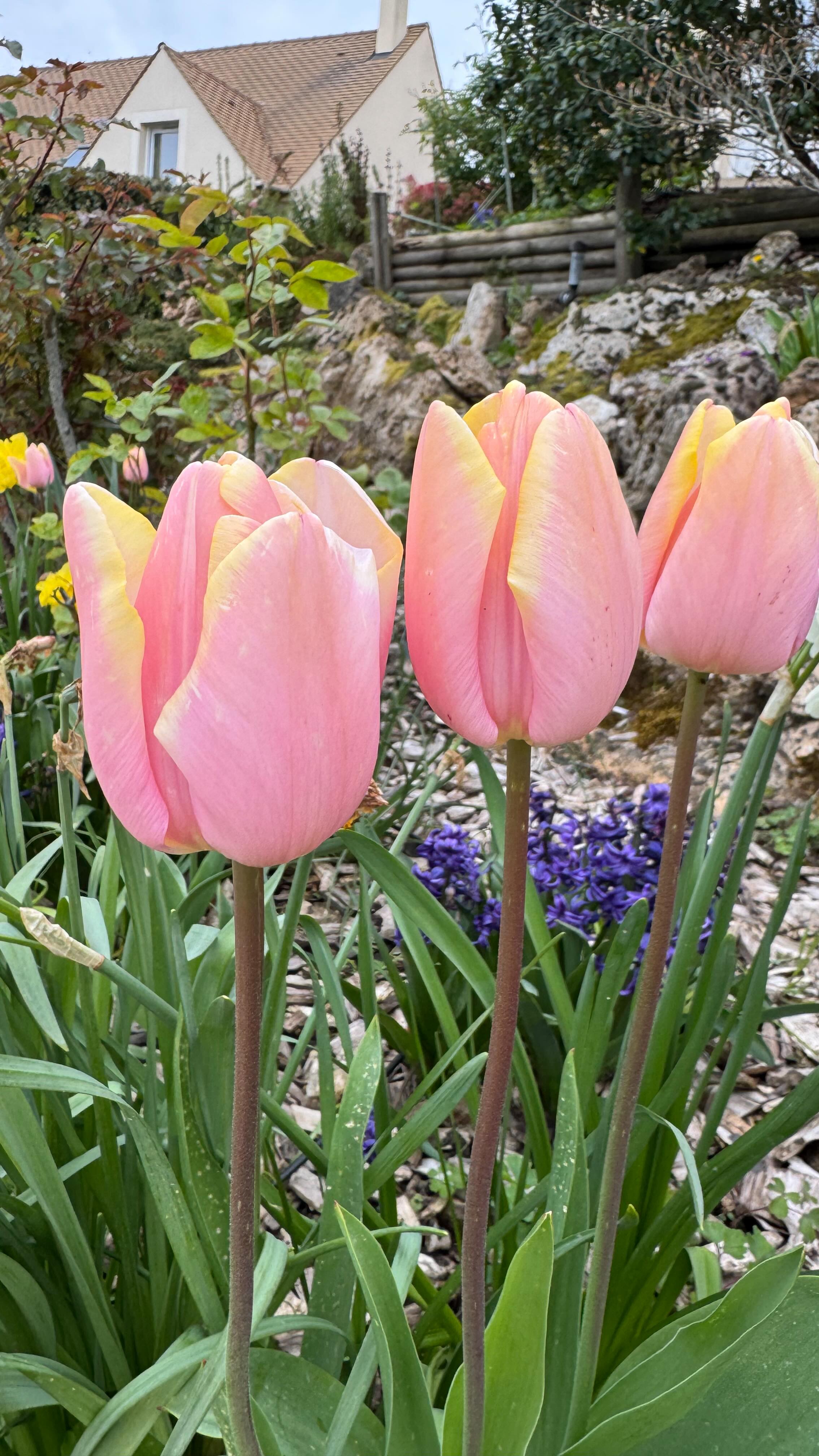 J’aime tellement créer vos bracelets de famille pierres de naissance 🥹🫶🏼❤️