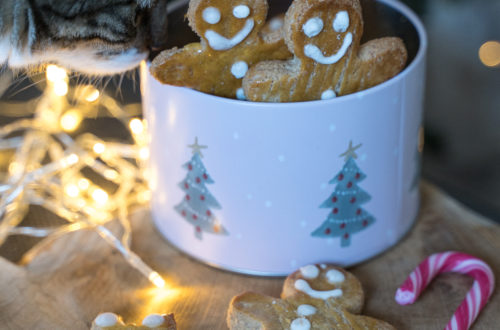 Atelier Noël