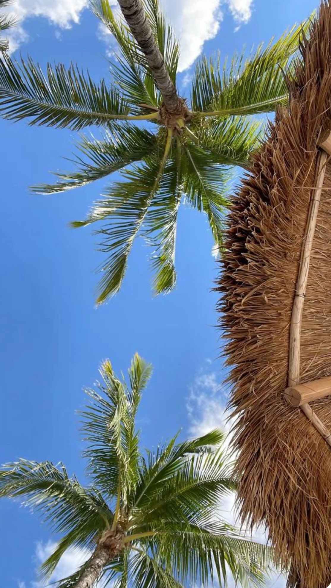 Si quelqu’un connaît le bouton pour éteindre le cerveau, je suis preneuse 😂🧠🤯

#businessowner #runabusiness #réalité #vacances