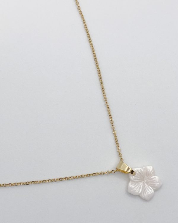 Collier élégant composé d'une chaîne en acier inoxydable réglable et d'un pendentif en nacre blanche. Ne noircit pas.