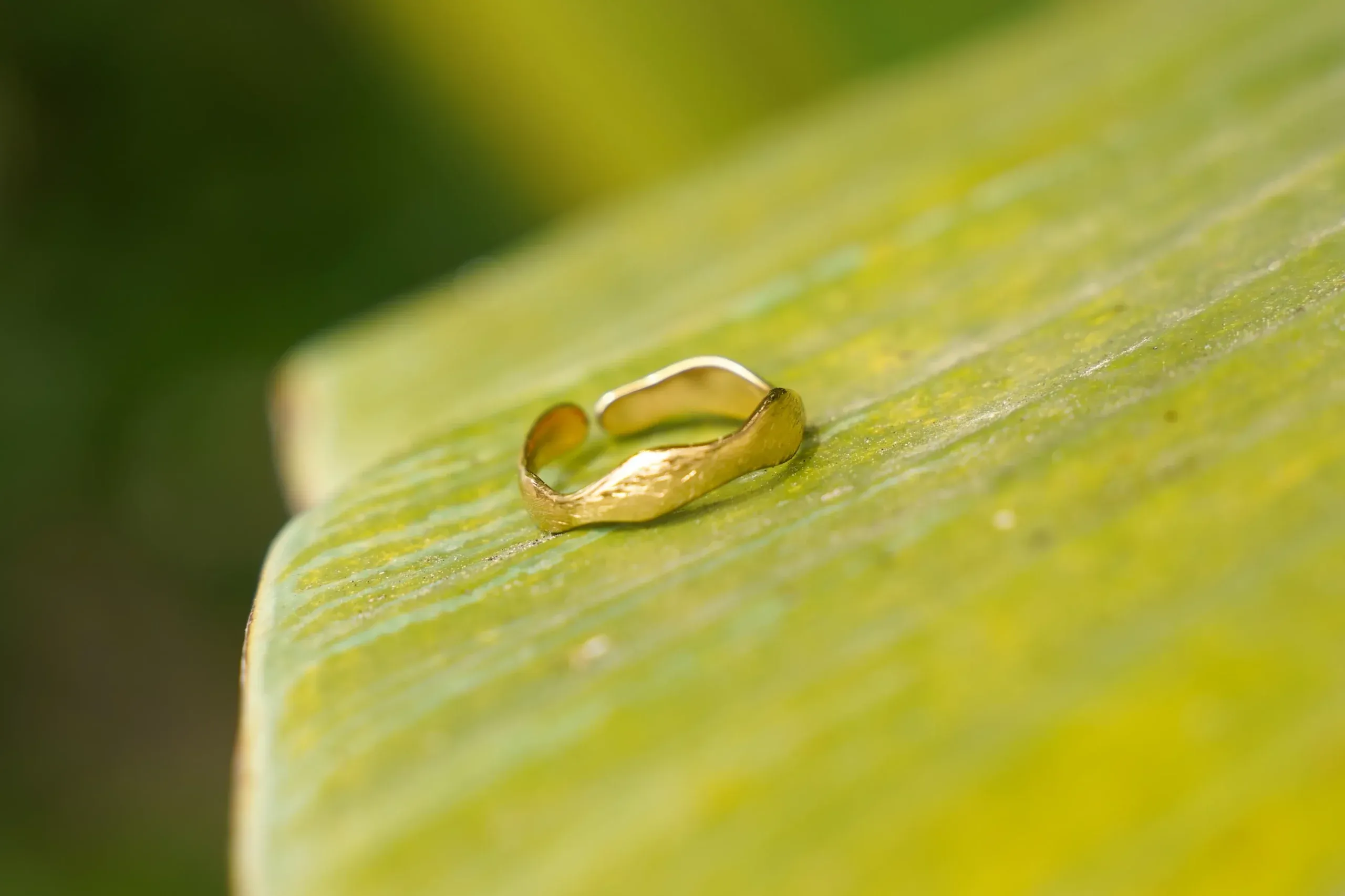 Bagues résistantes à l'eau (plusieurs choix) – Image 3